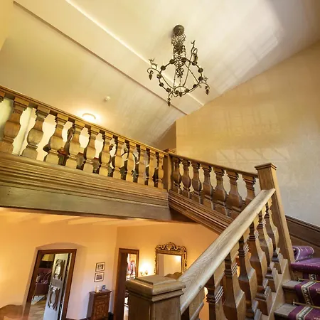 シェサ スプオンダス