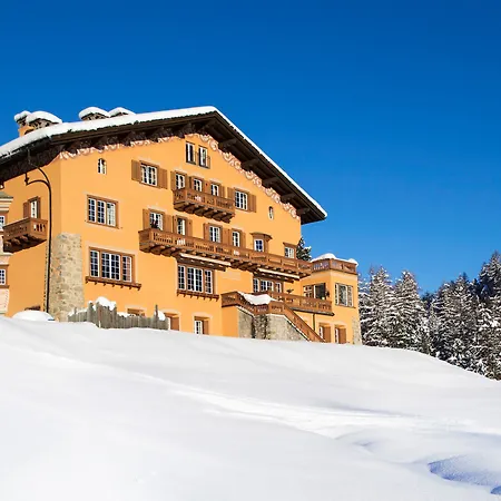 シェサ スプオンダス