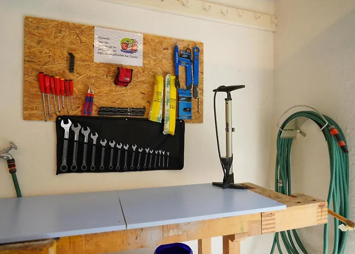 シェサ スプオンダス