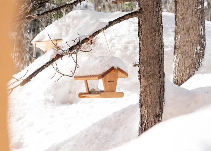 シェサ スプオンダス
