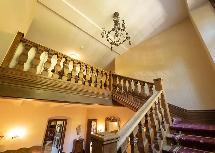 シェサ スプオンダス