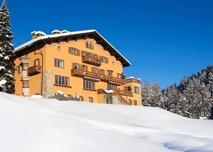 シェサ スプオンダス