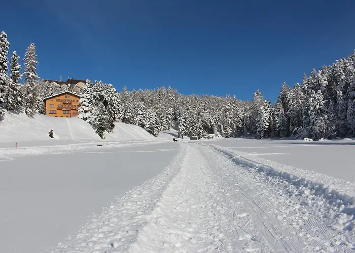 シェサ スプオンダス